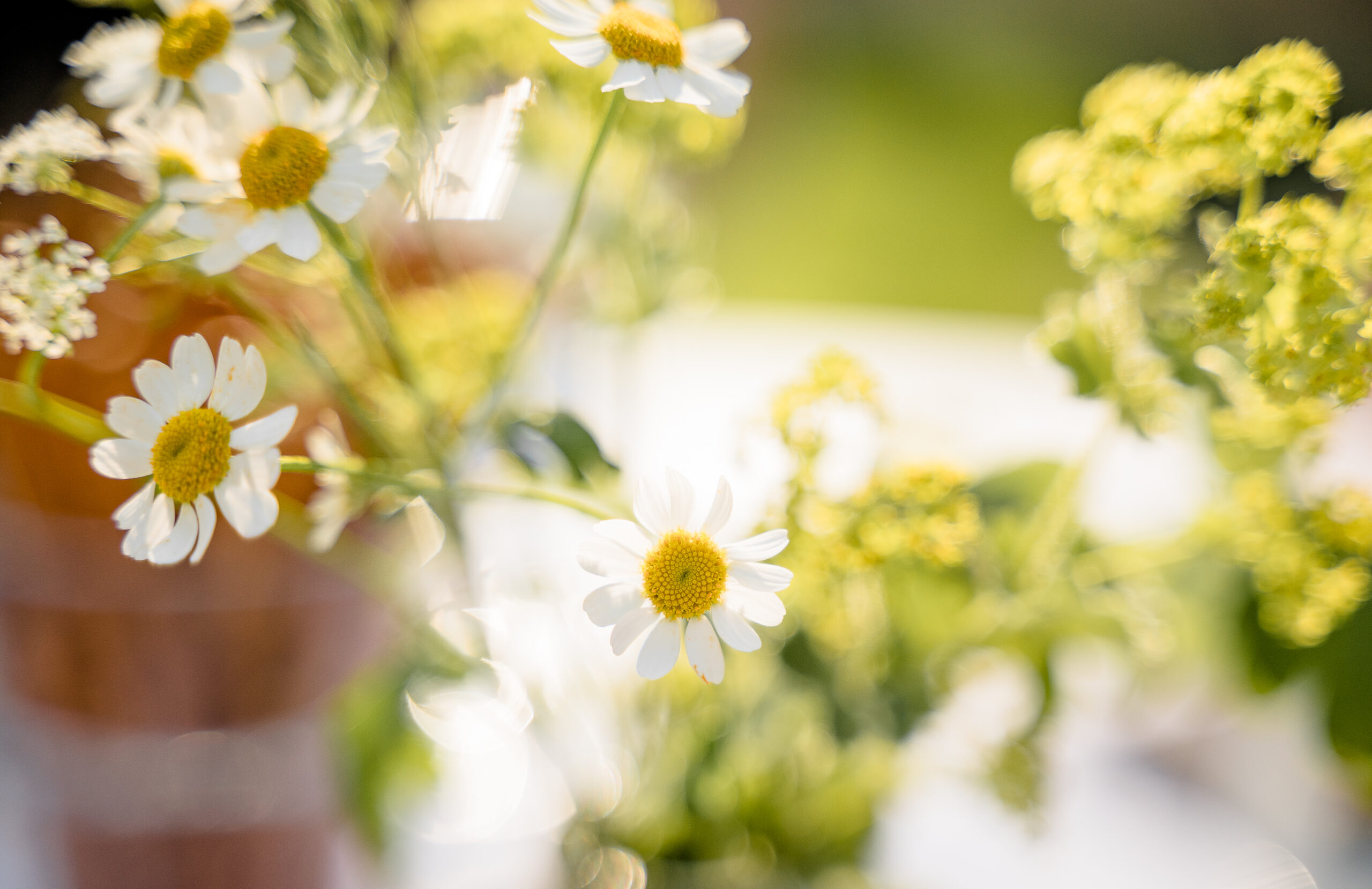 Beitragsbild Frühlingsfest
